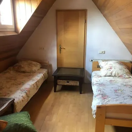Grossraeumiges 2-zimmer Mit Kueche Und Bad Apartment